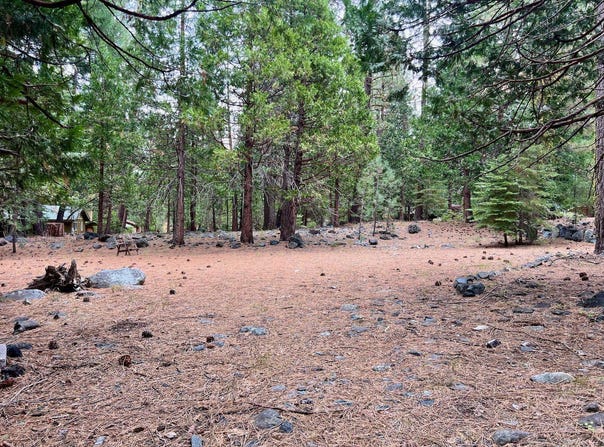 61 Paiute Trail, Graeagle, CA 96103