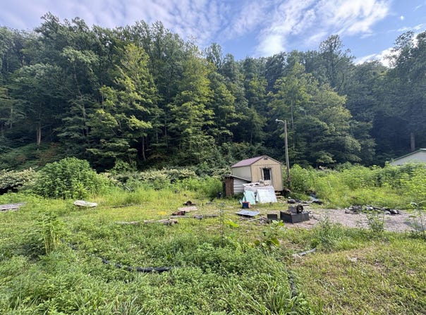 1668 Dry Branch Rd, Belle, WV 25061