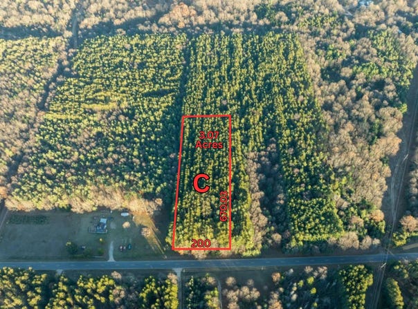 Parcel C 52nd Avenue, Mears, MI 49436