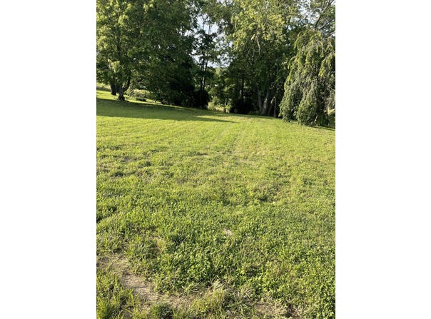 232 Mills Avenue, Flemingsburg, KY 41041