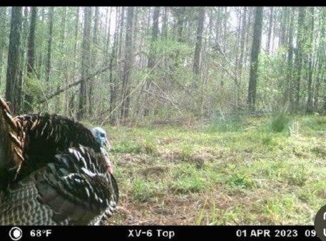 --Highway 9N, Banner, MS 38913