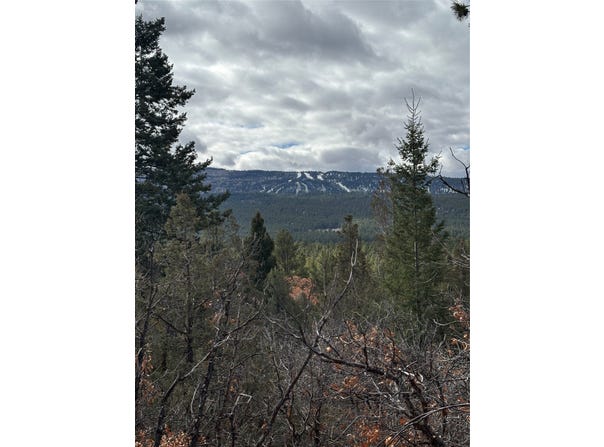 HWY 95, Los Ojos, NM 87551