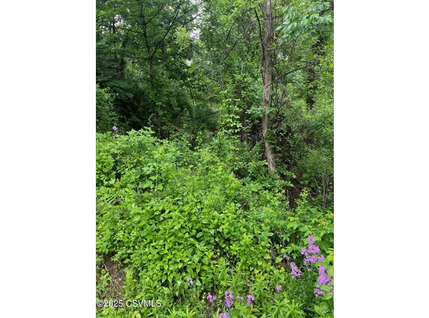 LOT PENNS CREEK Road, Mifflinburg, PA 17844