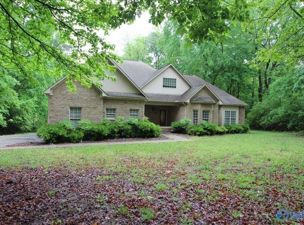 730 John Cabaniss Road, Langston, AL 35755