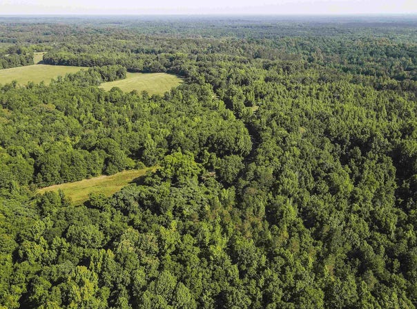 5248 COUNTY ROAD 14, UNION SPRINGS, AL 36089