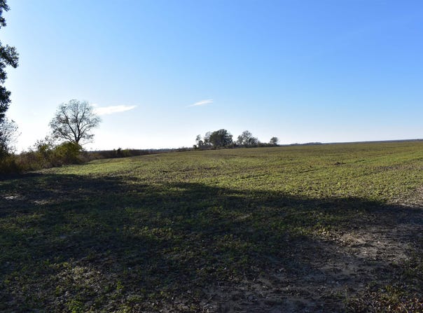 River Road, Crumrod, AR 72328