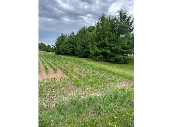 2186 132nd Street, Star Prairie, WI 54017