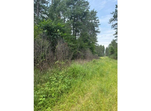West Road, Black River Falls, WI 54615