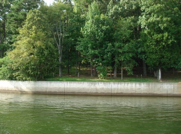 240 BREATHTAKING, Savannah, TN 38372
