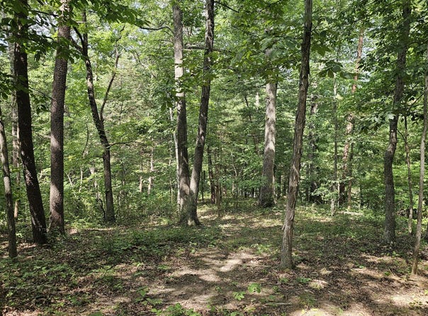 5.3 Acres Gravel Ln, Lexington, VA 24450