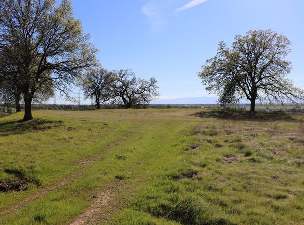 Lot 80 Pimlico Court, Cottonwood, CA 96022