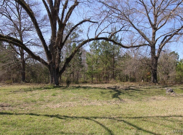 0 Toles Road, Grady, AL 36036