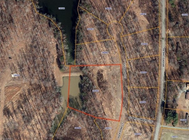 8001 Duck Pond Court, Browns Summit, NC 27214