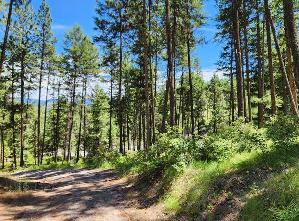 TBD KLONDIKE RD, REPUBLIC, WA 99166