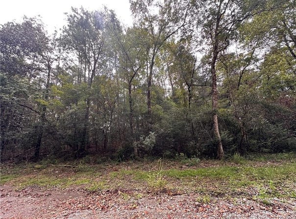 Lukoli Lane, Saraland, AL 36571