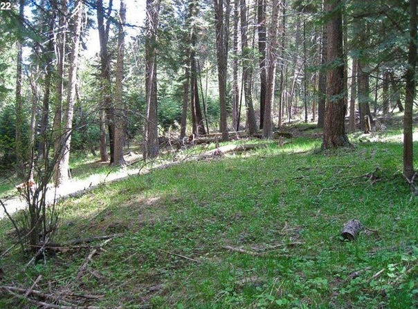 Tram Ln, WallowaLake, OR 97846
