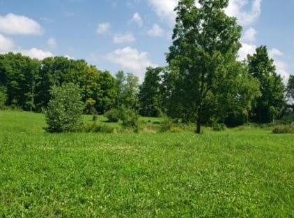 3598 Township Rd 124, Mount Gilead, OH 43338