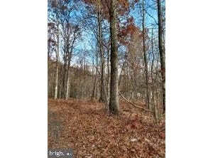HIGH Road, LAVELLE, PA 17943