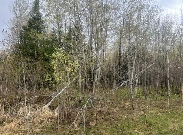 MEMORY Lane, WABENO, WI 54566