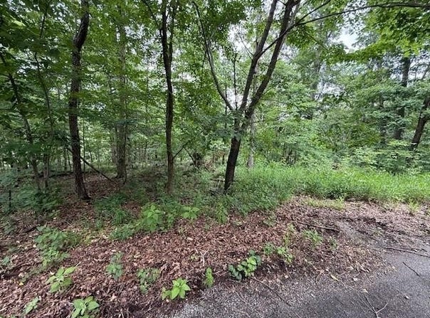 Rori  LN, Bella Vista, AR 72715