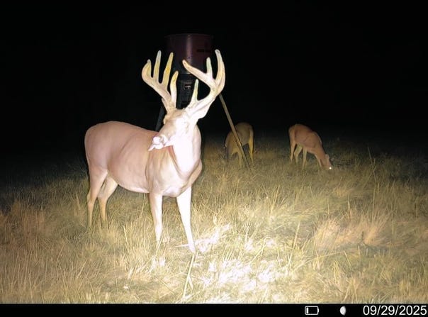 Raymond Road, Jackson, MS 39212