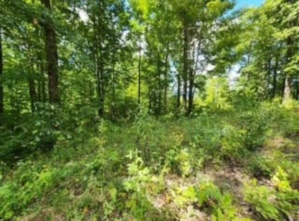 14.34ac Tomahawk Rd lot: 72-3, Jamestown, TN 38556