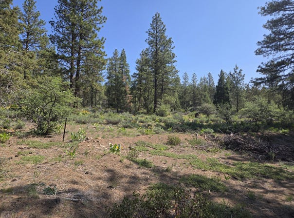 Meadow Lark Drive, Bonanza, OR 97623