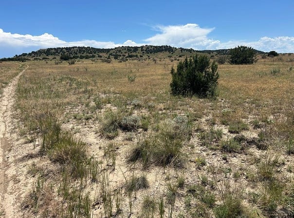 Long Horn Ranch lot: 17, Model, CO 81059
