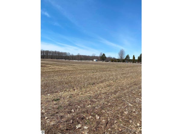 LOT F NE County Road 571, Kalkaska, MI 49646