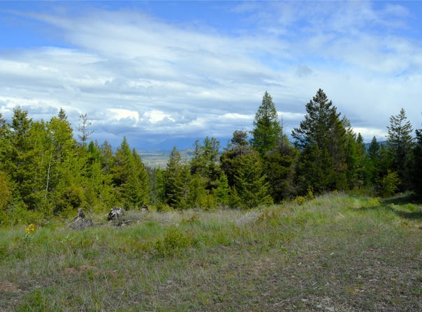 NHN Bugler Trail, Kila, MT 59920