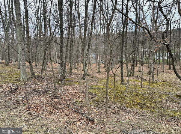 TIMBERLAKE ESTATES - LOT 37, NEW CREEK, WV 26743