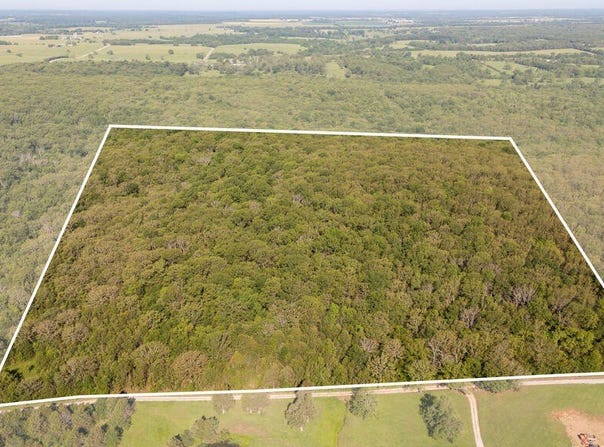 County Road 340, Flemington, MO 65650
