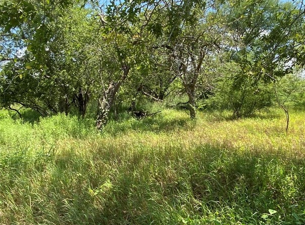 14135 County Road 1144, Sinton, TX 78387