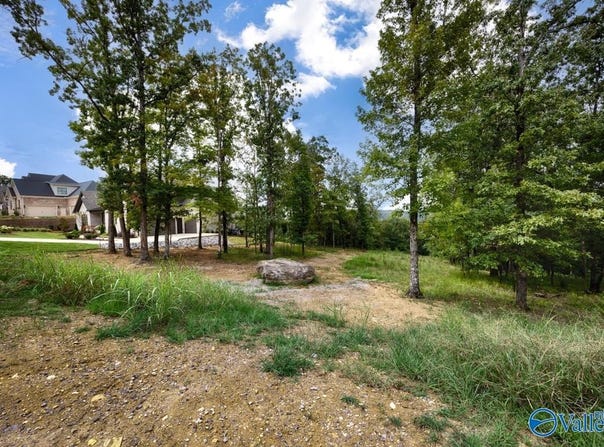 49 Watson Grande Way SE, Owens Cross Roads, AL 35763
