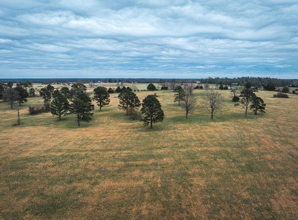 Dewitt Drive, Hartshorn, MO 65479