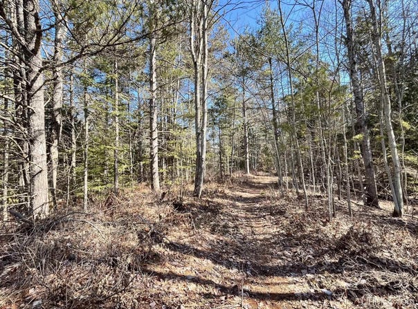TBD N 8th, Manistique, MI 49854