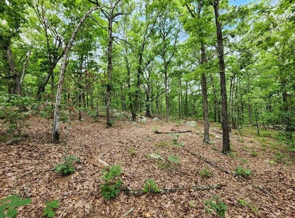 4 TBD Bear Creek 40 Acres, Talihina, OK 74571