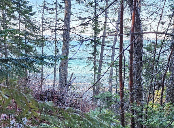 24699 MT Highway 35, Bigfork, MT 59911