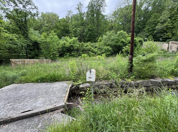 603 Town Branch Road, Jonesville, VA 24263