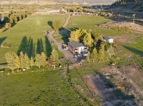 411 Violet Lane, Eagle, CO 81631