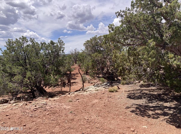 9979 TEXAS Lane, White Mountain Lake, AZ 85912