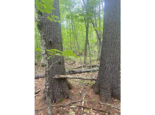 Stream Road, Moscow, ME 04920
