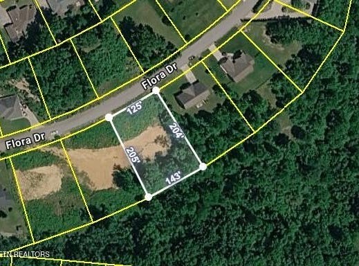 390 Flora Drive, Lenoir City, TN 37771