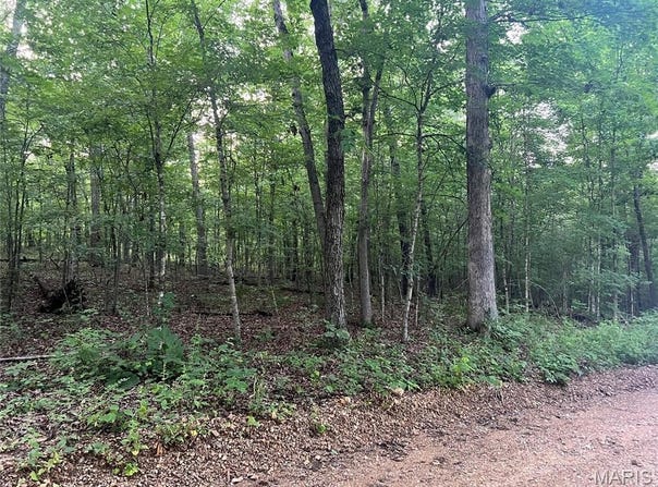 00 Black River Retreat #3, Piedmont, MO 63957