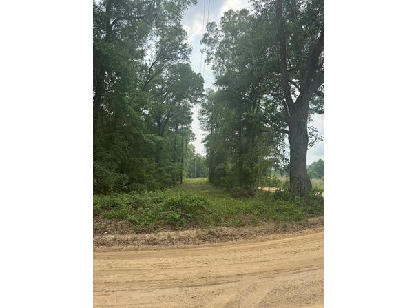 000 Barber Rd, Brinson, GA 39825