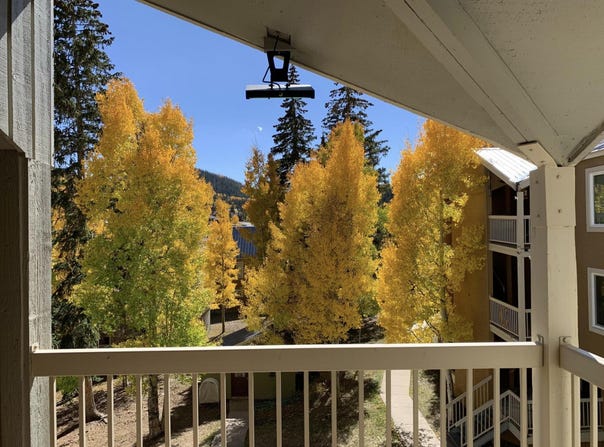 356 S Hwy 143, Brian Head, UT 84719