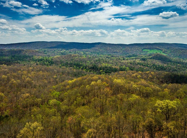 Lot 18 Green Ridge Trail Tr, Harriman, TN 37748