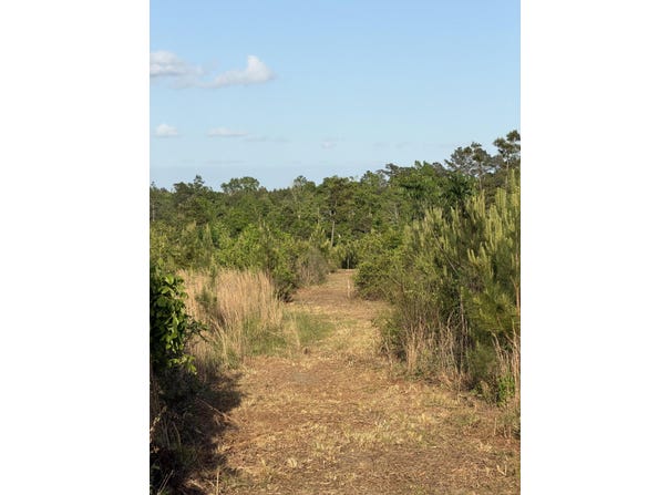 5 Acres Mt. Bethel Rd., Sandy Hook, MS 39478