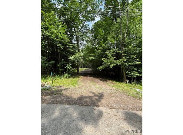 11256 Blanchard Road, Holland, NY 14080
