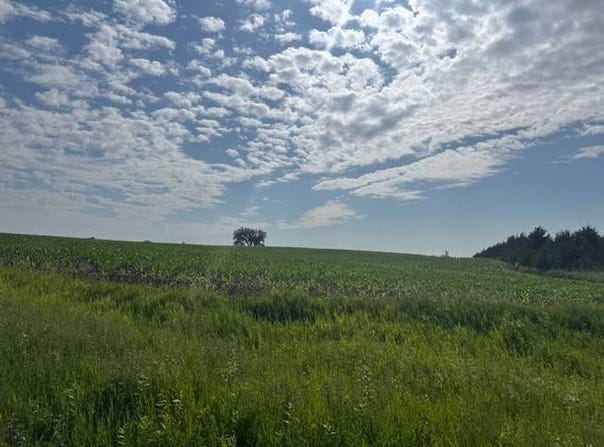 424 Ave US Highway 12, Bristol, SD 57219